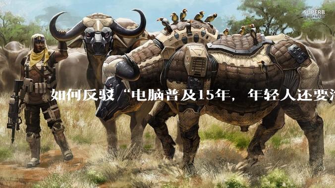 如何反驳“电脑普及15年，年轻人还要淘宝代装steam”?