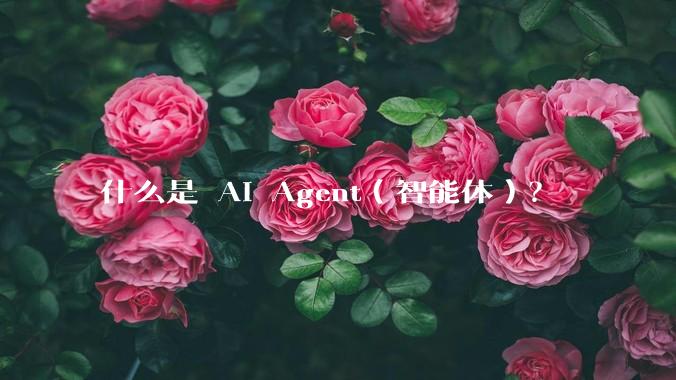 什么是 AI Agent（智能体）？