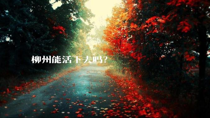 柳州能活下去吗？