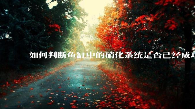 如何判断鱼缸中的硝化系统是否已经成功建立？