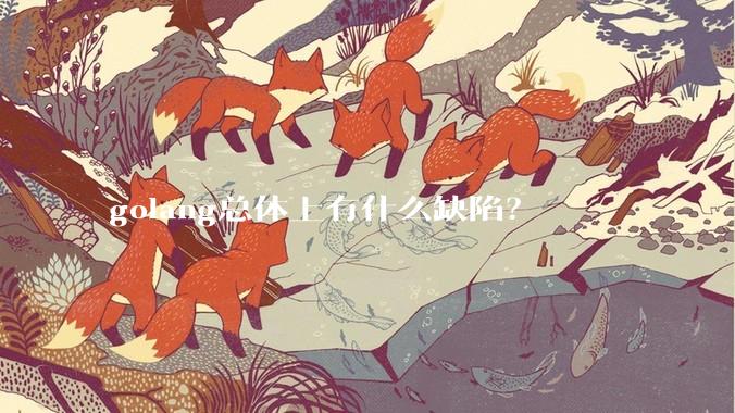 golang总体上有什么缺陷？