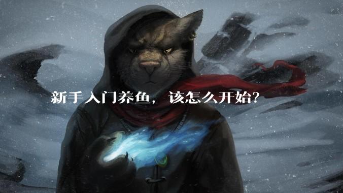 新手入门养鱼，该怎么开始？