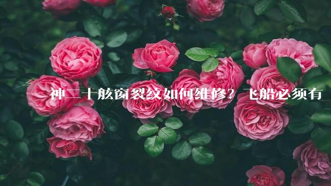 神二十舷窗裂纹如何维修？飞船必须有“窗”吗？详细解读_神舟_碎片_着陆场