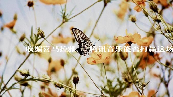 收编喜马拉雅， 腾讯音乐能否打赢这场防守战？_用户_公司_净现金