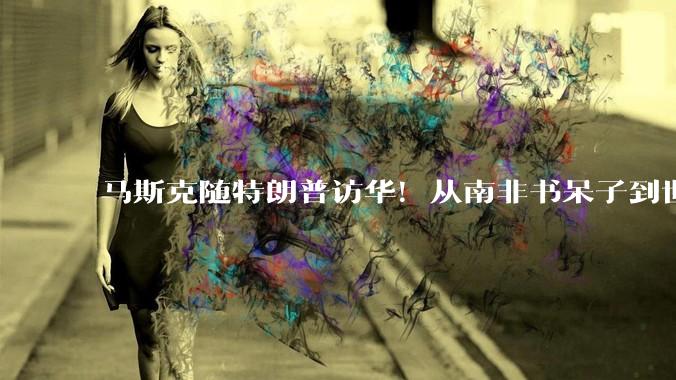 马斯克随特朗普访华！从南非书呆子到世界首富的“极致硬核”之路_Zip_原理_PayPal
