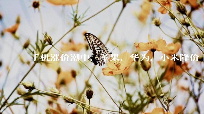 手机涨价潮中，苹果、华为、小米降价千元_市场_的成本_机型