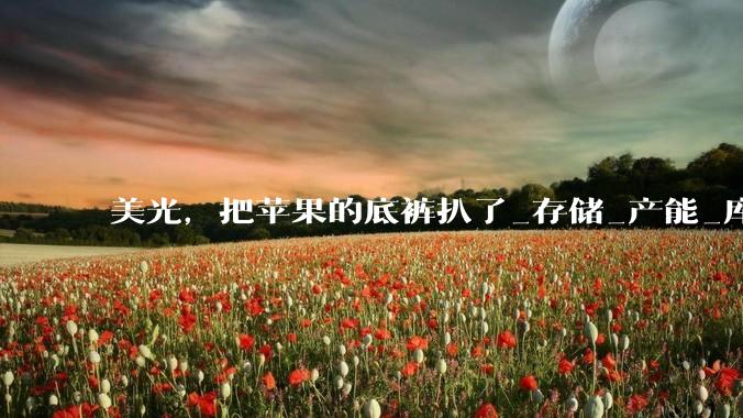 美光，把苹果的底裤扒了_存储_产能_库克