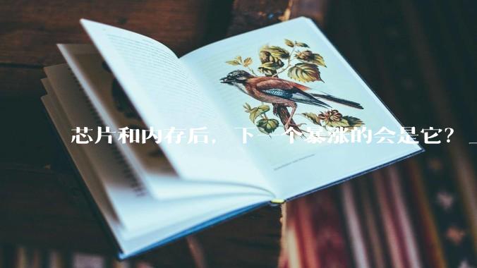 芯片和内存后，下一个暴涨的会是它？_产能_全球_市场