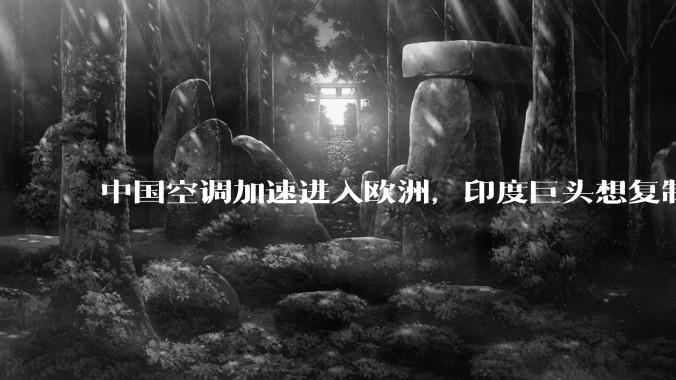 中国空调加速进入欧洲，印度巨头想复制中国出海路径？_出口_品牌_市场