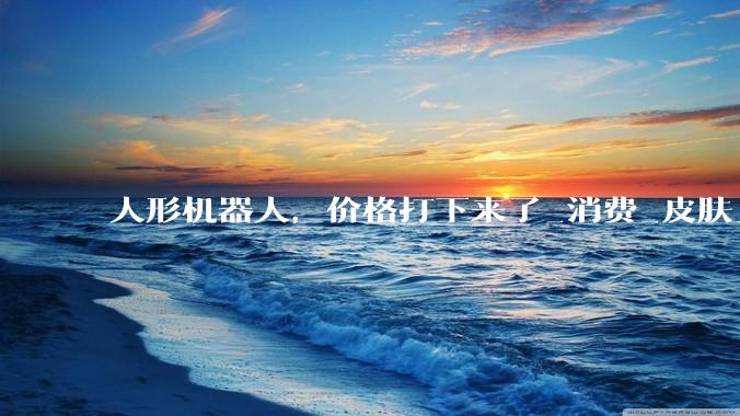 人形机器人，价格打下来了_消费_皮肤_电子