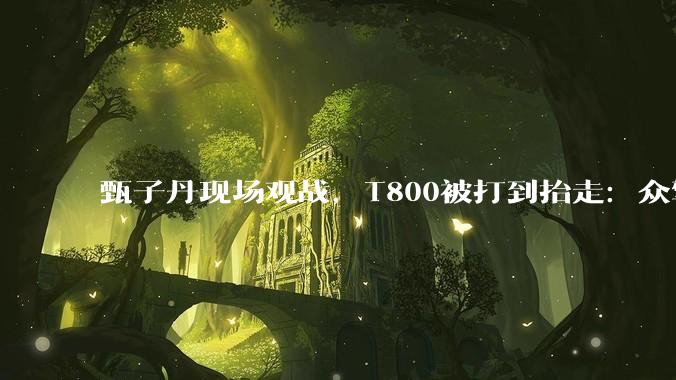 甄子丹现场观战，T800被打到抬走：众擎机器人版UFC终于开打了_回合_比赛_动作
