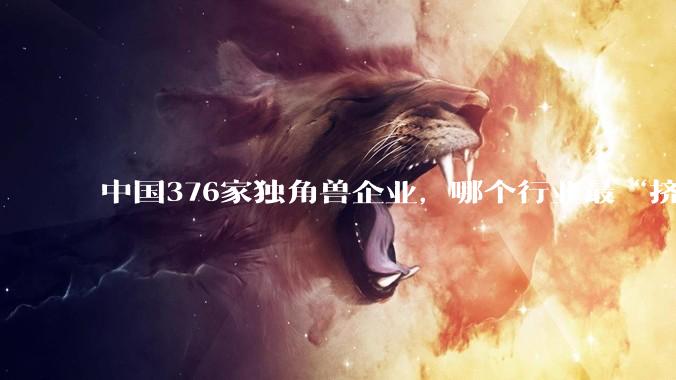中国376家独角兽企业，哪个行业最“挤”？_报告_智能_航天