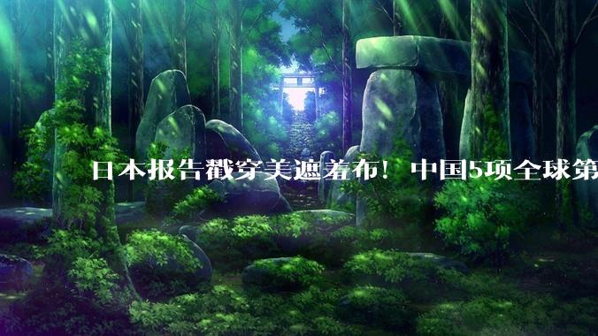 日本报告戳穿美遮羞布！中国5项全球第一，美国只剩芯片一根独苗_产业_稀土_封锁