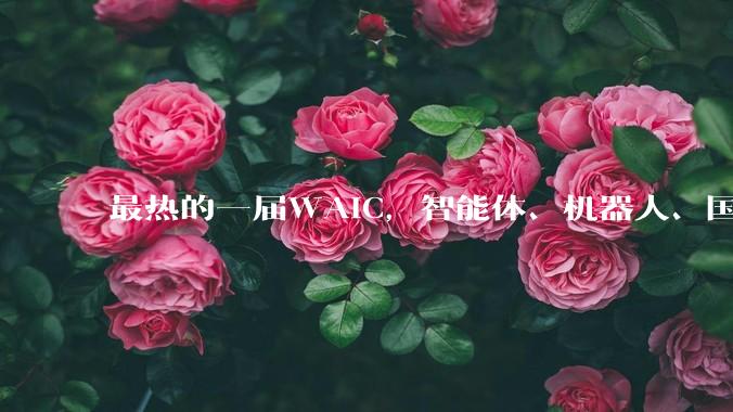 最热的一届WAIC，智能体、机器人、国产算力成焦点，中国AI从底层到应用全面突破_模型_Agent