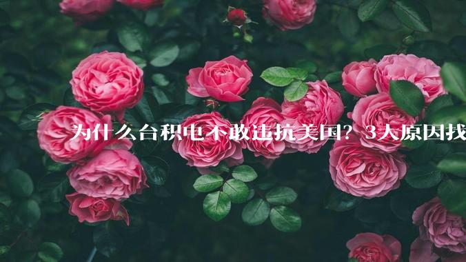 为什么台积电不敢违抗美国？3大原因找到了_企业_半导体_芯片