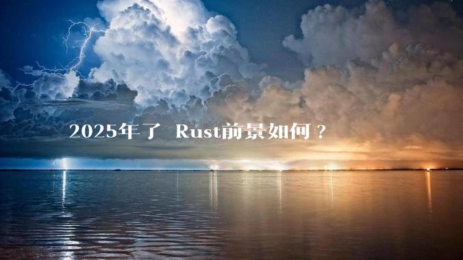 2025年了 Rust前景如何?