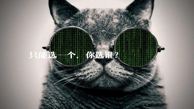 只能选一个，你选谁？