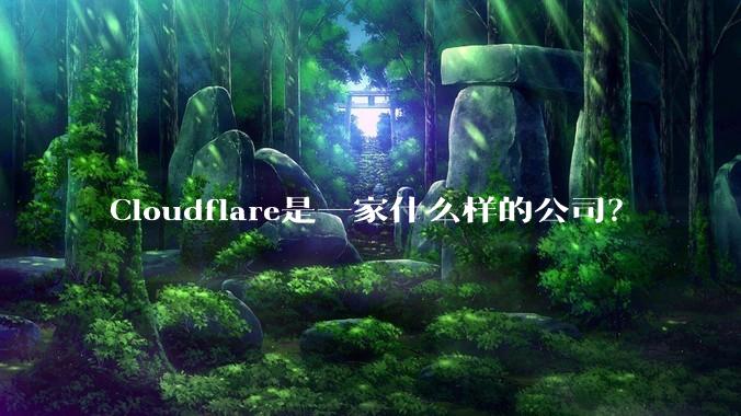 Cloudflare是一家什么样的公司？