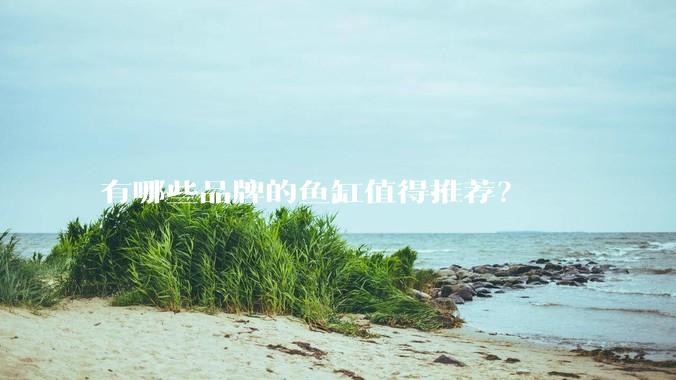 有哪些品牌的鱼缸值得推荐？