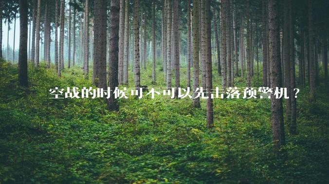 空战的时候可不可以先击落预警机?