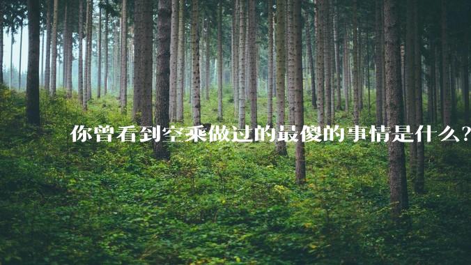 你曾看到空乘做过的最傻的事情是什么？