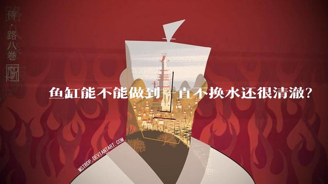 鱼缸能不能做到一直不换水还很清澈？