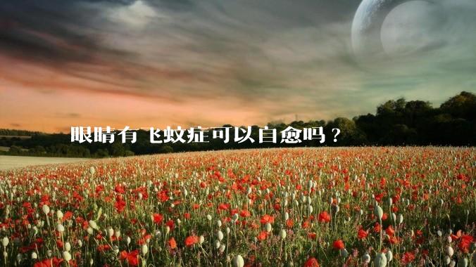 眼睛有飞蚊症可以自愈吗?