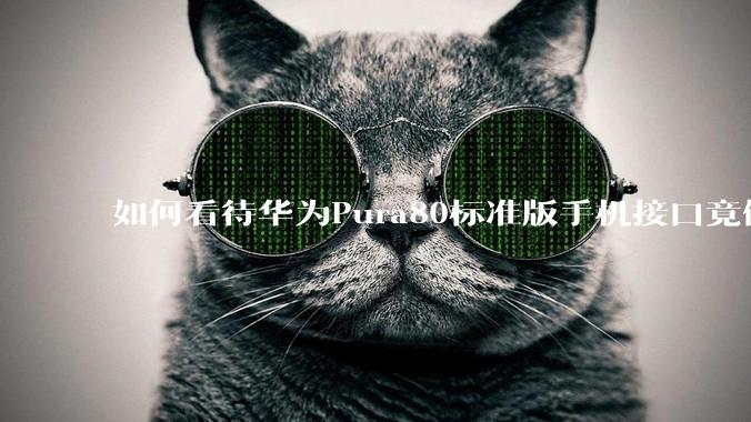 如何看待华为Pura80标准版手机接口竟倒退成USB 2.0？要是也烧了WIFI是不是不好备份数据？