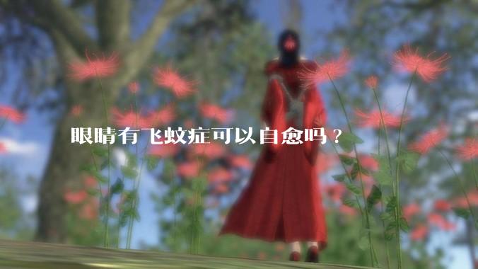眼睛有飞蚊症可以自愈吗?