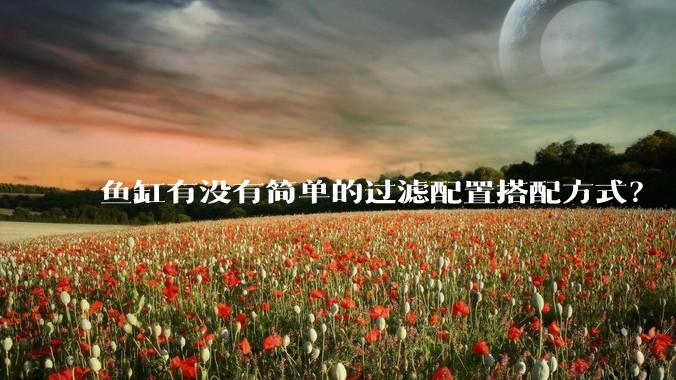 鱼缸有没有简单的过滤配置搭配方式？
