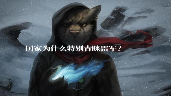 国家为什么特别青睐雷军？