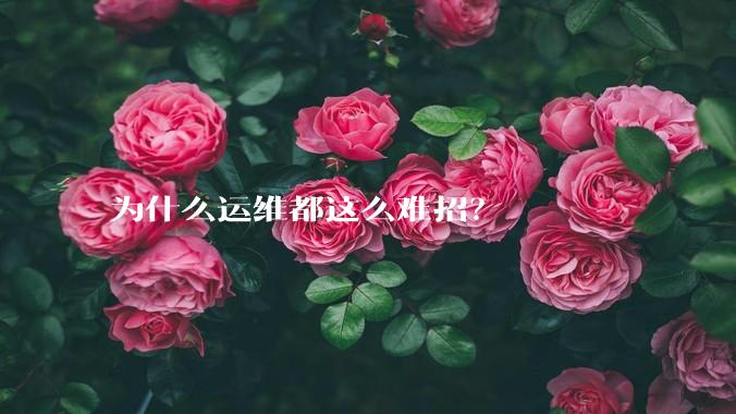 为什么运维都这么难招？