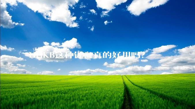 HHKB这种键盘真的好用吗？