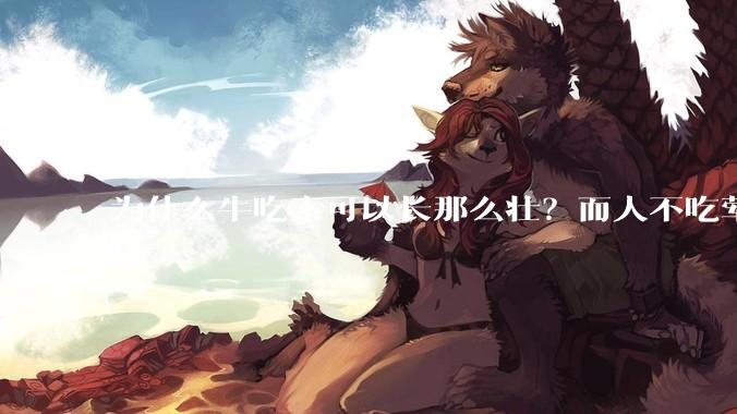 为什么牛吃素可以长那么壮？而人不吃荤就不行？