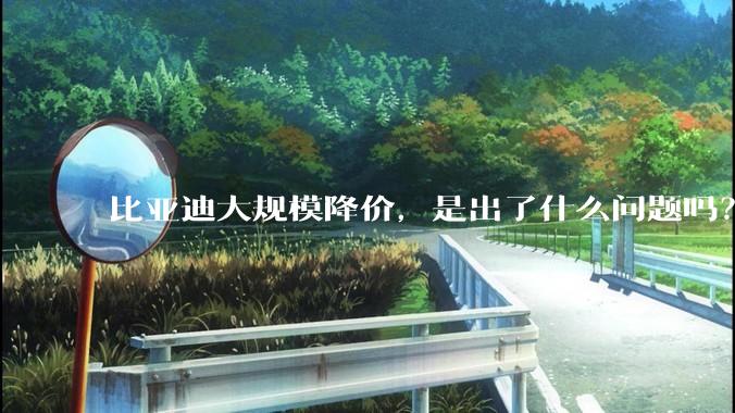 比亚迪大规模降价，是出了什么问题吗？
