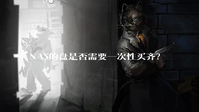 NAS的盘是否需要一次性买齐？