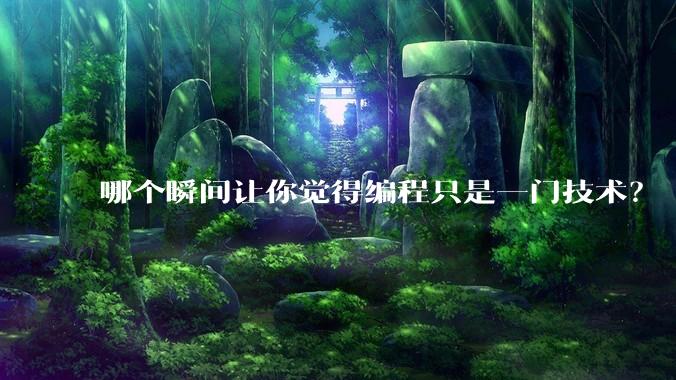 哪个瞬间让你觉得编程只是一门技术？