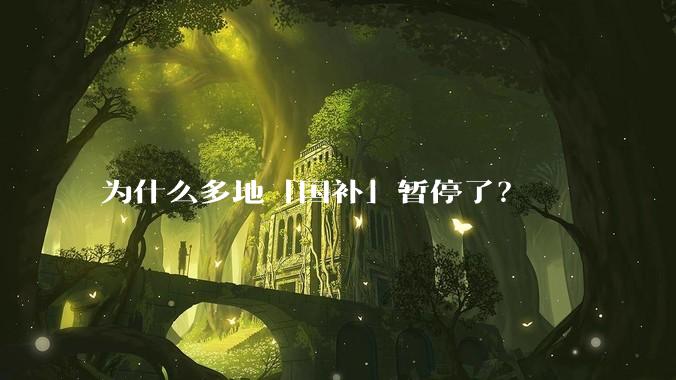 为什么多地「国补」暂停了？