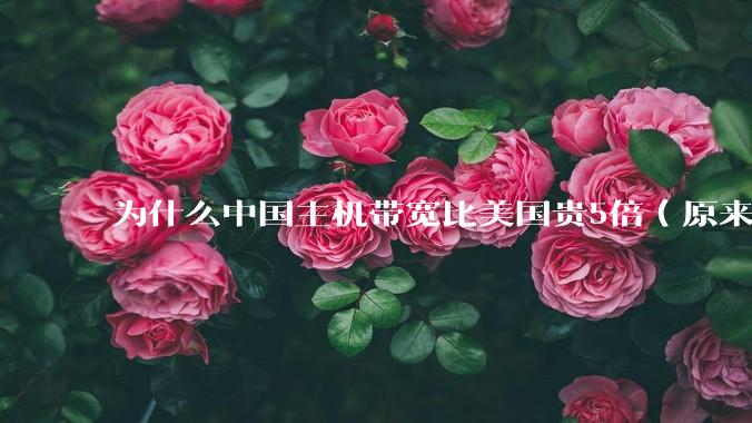 为什么中国主机带宽比美国贵5倍（原来错误的10000倍），比如阿里云？