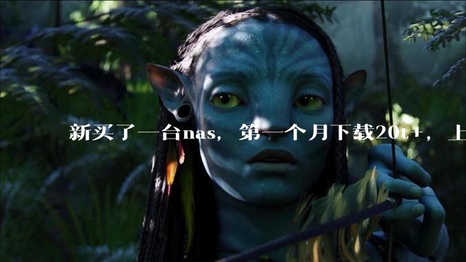 新买了一台nas，第一个月下载20t+，上传5+，不会被网警盯上吧?