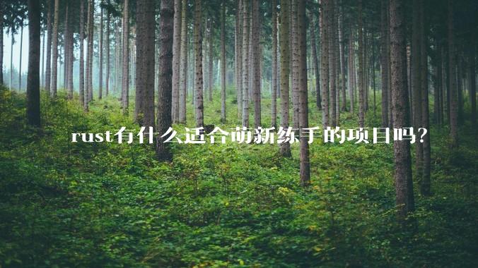 rust有什么适合萌新练手的项目吗？