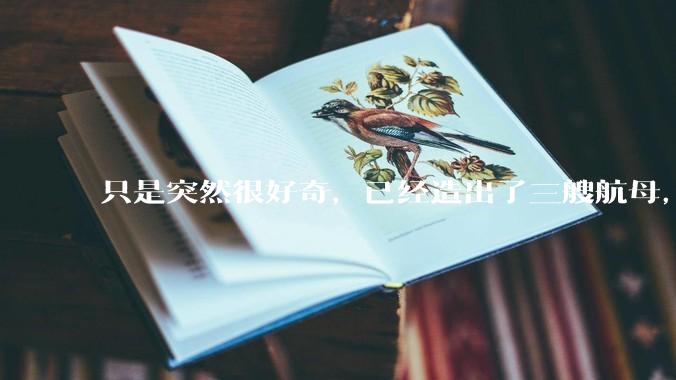 只是突然很好奇，已经造出了三艘航母，为何不能按照这样的模板，批量建造航母呢?