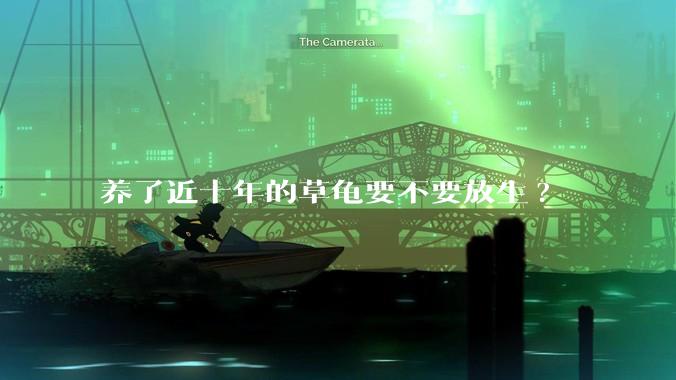 养了近十年的草龟要不要放生?