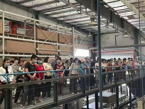 黄石浩天家装 索菲亚4.0智能工厂行现场圆满结束